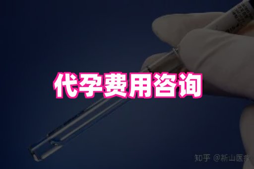 江苏助孕网 2