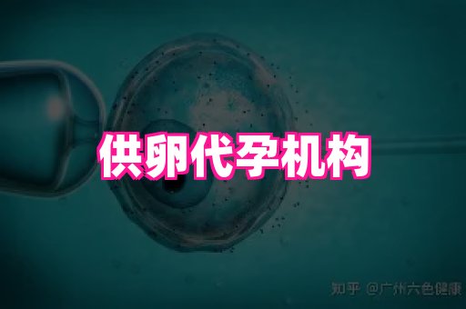 江苏助孕网 4